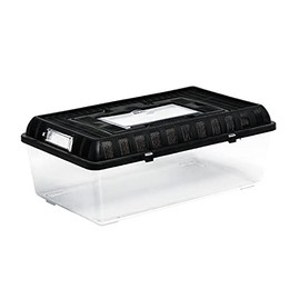 Produktbild von ReptiZoo Plastik Terrarium Flat Box Large 42x26x16 cm