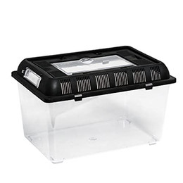 Produktbild von ReptiZoo Plastik Terrarium Flat Box medium