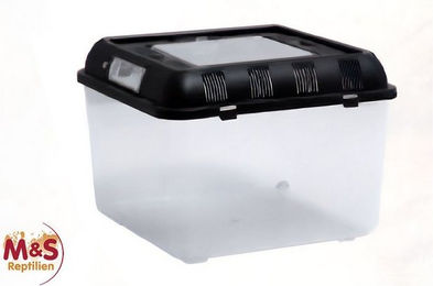 Produktbild von ReptiZoo Plastikterrarium Flat Box small 26x26x20 cm