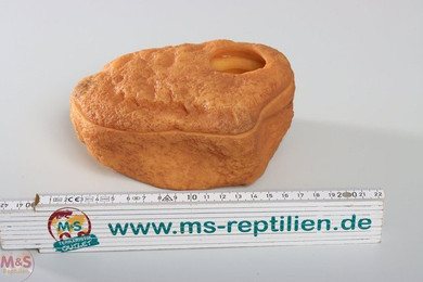 Produktbild von ReptiZoo Terrarium ReptiZoo Hide Box, Schlupfbox mit Magnetdeckel (ERS28)