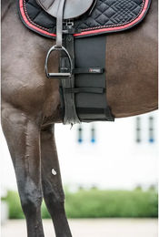 Respektstreifen für Pferde Catago – Bild 1 von 4