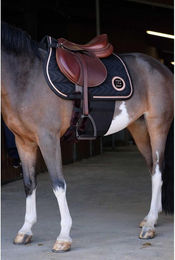 Produktbild von Respektstreifen für Pferde Norton