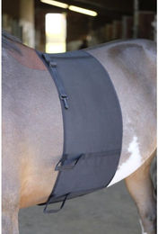 Produktbild von Respektstreifen für Pferde Norton