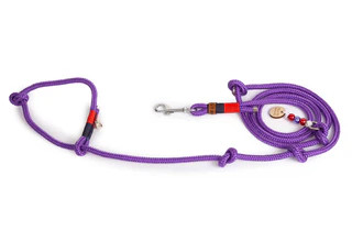 Produktbild von Retrieverleine Nana - S