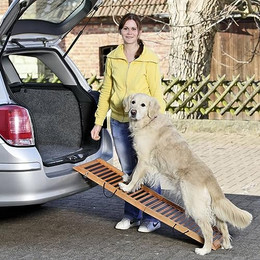 Produktbild von Revera Flamingo-Rampe für Hunde, zusammenklappbar