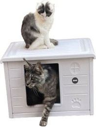 Produktbild von RHRQuality Kratzbaum Maine Coon Tower Plus