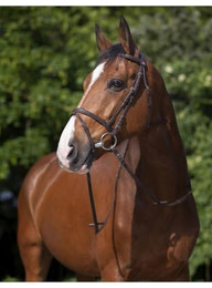 Produktbild von Riding World Trensenzaum havanna Cob bzw VB