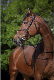 Produktbild von Riding World Trensenzaum mexikanisches Reithalfter Cob Schwarz