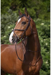 Riding World Trensenzaum mit mexikanischem Reithalfter – Bild 1 von 3