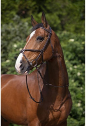 Produktbild von Riding World Trensenzaum mit mexikanischem Reithalfter Pony