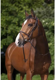 Riding World Trensenzaum mit Muserolle havanna/dunkelbraun Pony – Bild 1 von 3