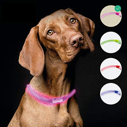Produktbild von riijk LED Leuchthalsband für Hunde - 1 Stk.