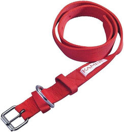 Produktbild von Rinderhalsband aus doppeltem Nylon Kamer