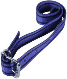 Produktbild von Rinderhalsband aus Nylon für Kennzeichnungsschlaufe Kamer