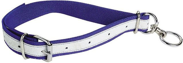 Produktbild von Rinderhalsband aus Nylon Kamer