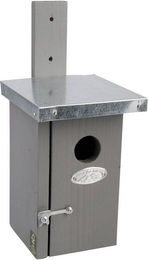 Produktbild von Rivanto Nistkasten Vogelhaus für Zaunkönige mit Bitumendach