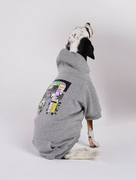 Produktbild von Rockupy Hundemantel Hoodie Grau