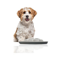 Produktbild von Rohrschneider Antischlingnapf Sporty für Hunde und Katzen