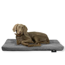 Rohrschneider ® Hundebett mit Anti-Rutsch-Boden, strapazierfähiges Kissen für Hunde und Katzen, B120 x T75 x H7 cm, inkl. Gratis-Wassernapf – Bild 1 von 9