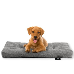 Produktbild von Rohrschneider Hundebett mit Anti-Rutsch-Boden und Futternapf