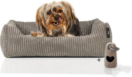 Rohrschneider Hundebett waschbar mit Wendekissen und Gassibeutel – Bild 1 von 8