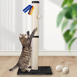 Produktbild von Rohrschneider Kratzsäule L mit Spielkugel