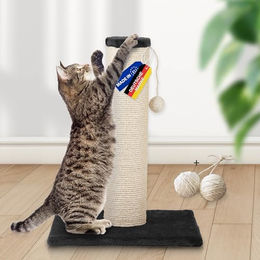 Produktbild von Rohrschneider Kratzsäule XL mit Spielkugel