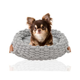 Produktbild von Rohrschneider Kuschelinsel Kleo Katzen- und Hundebett