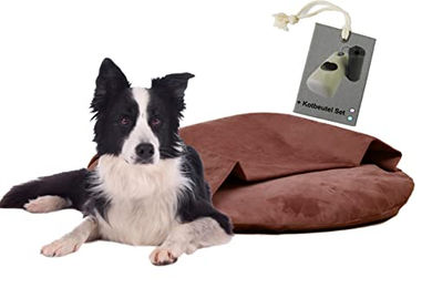 Rohrschneider Kuschelinsel Samt Valley Hundekissen L altrosa – Bild 1 von 8