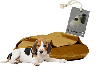 Rohrschneider Kuschelinsel Samt Valley Hundekissen M senf – Bild 1 von 8