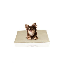Produktbild von Rohrschneider Weiches Hundebett mit waschbarem Bezug aus Cord