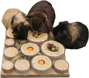 Rosewood Maze-A-Log Treat Challenge – Bild 1 von 2