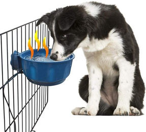 Produktbild von Rosnek Futternapf mit automatischer Temperaturregelung für Katze und Hund - 2,2 l