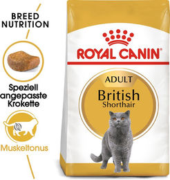 Royal Canin British Shorthair Adult - 2 x 4 kg – Bild 1 von 5