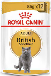Produktbild von Royal Canin British Shorthair Adult Nassfutter - 48 x 85 g