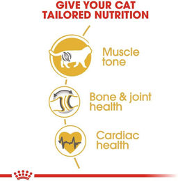 Produktbild von ROYAL CANIN British Shorthair Katzenfutter trocken für Britisch Kurzhaar 10kg + 2kg gratis