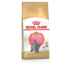 Produktbild von Royal Canin British Shorthair Kitten - 400 g