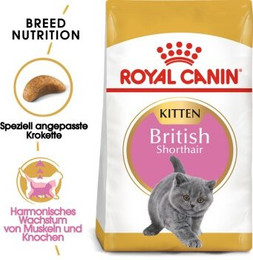 Produktbild von Royal Canin British Shorthair Kitten Trockenfutter - 10 kg