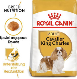Produktbild von Royal Canin Cavalier King Charles Adult Hundefutter trocken - 1,5 kg