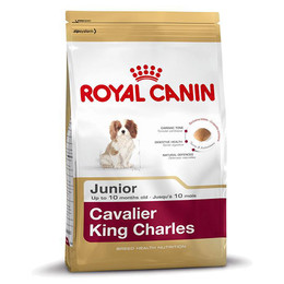 Produktbild von Royal Canin Cavalier King Charles Puppy - 1,5 kg