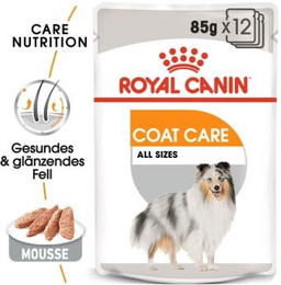 Produktbild von ROYAL CANIN Coat Care Adult Mousse - 12 x 85 g