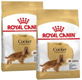 Produktbild von Royal Canin Cocker Adult - 2 x 12 kg