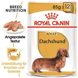 Produktbild von ROYAL CANIN Dachshund Adult Mousse - 12 x 85 g