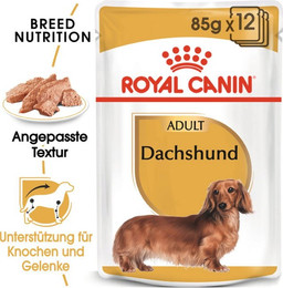 Produktbild von Royal Canin Dachshund Adult Nassfutter - 12 x 85 g