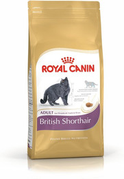 Produktbild von ROYAL CANIN FBN British Shorthair Adult Katzentrockenfutter Sparpaket 2 x 10 Kilogramm