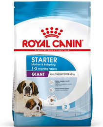 Produktbild von ROYAL CANIN GIANT Starter für tragende Hündin und Welpen sehr großer Rassen - 2 x 15 kg