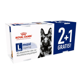 Produktbild von ROYAL CANIN Hunde Nassfutter MAXI Ageing Loaf Mousse - 3 x 410 g
