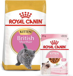 Produktbild von ROYAL CANIN KITTEN British Shorthair - 12 x 85 g