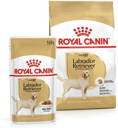 Produktbild von ROYAL CANIN Labrador Retriever Adult 3kg + Labrador Adult in Soße 10x140g