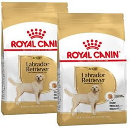 Produktbild von Royal Canin Labrador Retriever Adult - 2 x 12 kg